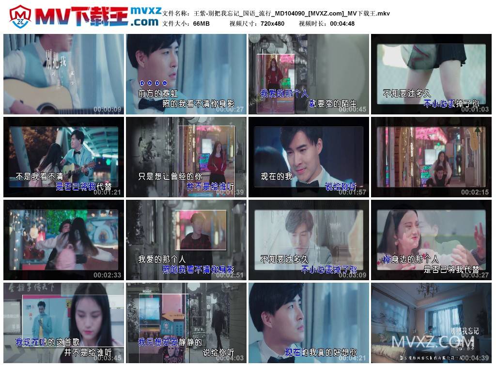 王紫-别把我忘记_国语_流行_MD104090